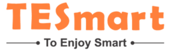 TESmart logo